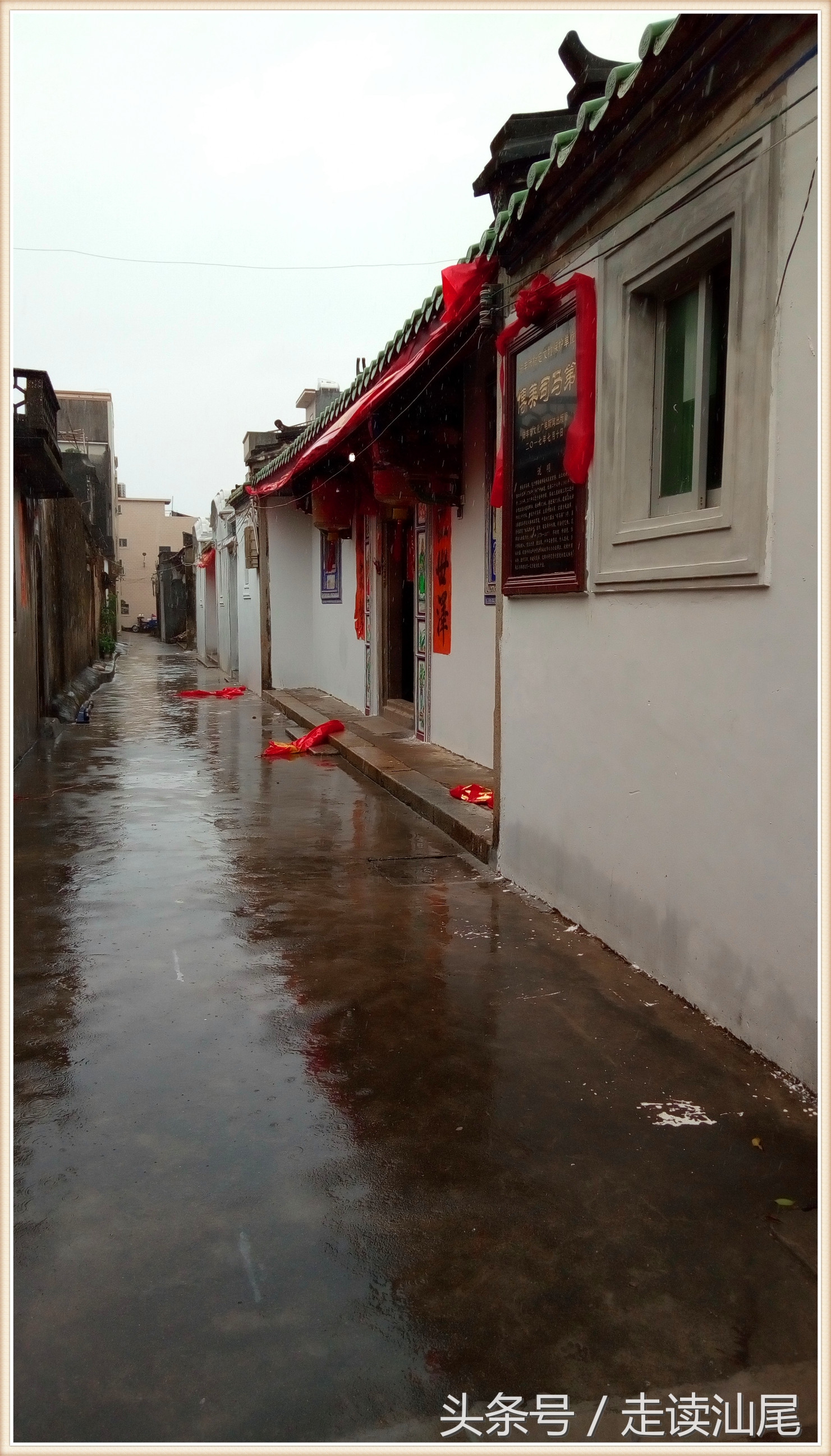 司马第陆丰,陆丰博美历史