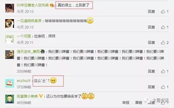 麦当劳改名叫金拱门什么原因,麦当劳改成金拱门好吗