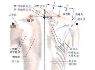 打通全身淤堵的穴位,十大重要穴位收藏
