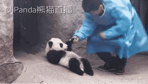 成都附近动物城,成都周边动物乐园