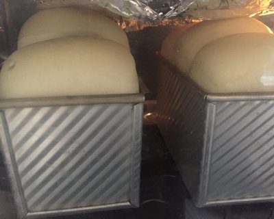 如何拯救失败的面团,如何拯救发酵失败的面团