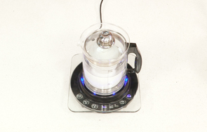 灵芝花胶煲鸡汤广东,灵芝煲鸡汤做法广东