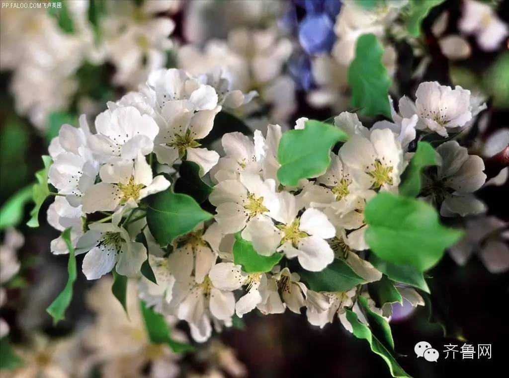 济南十大山体公园,济南最美的五十个山体公园