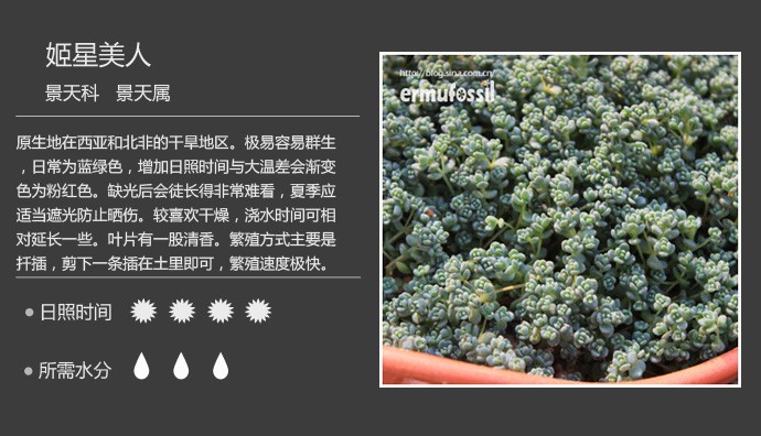 史上最全的多肉植物名字对照图，终于找齐了！