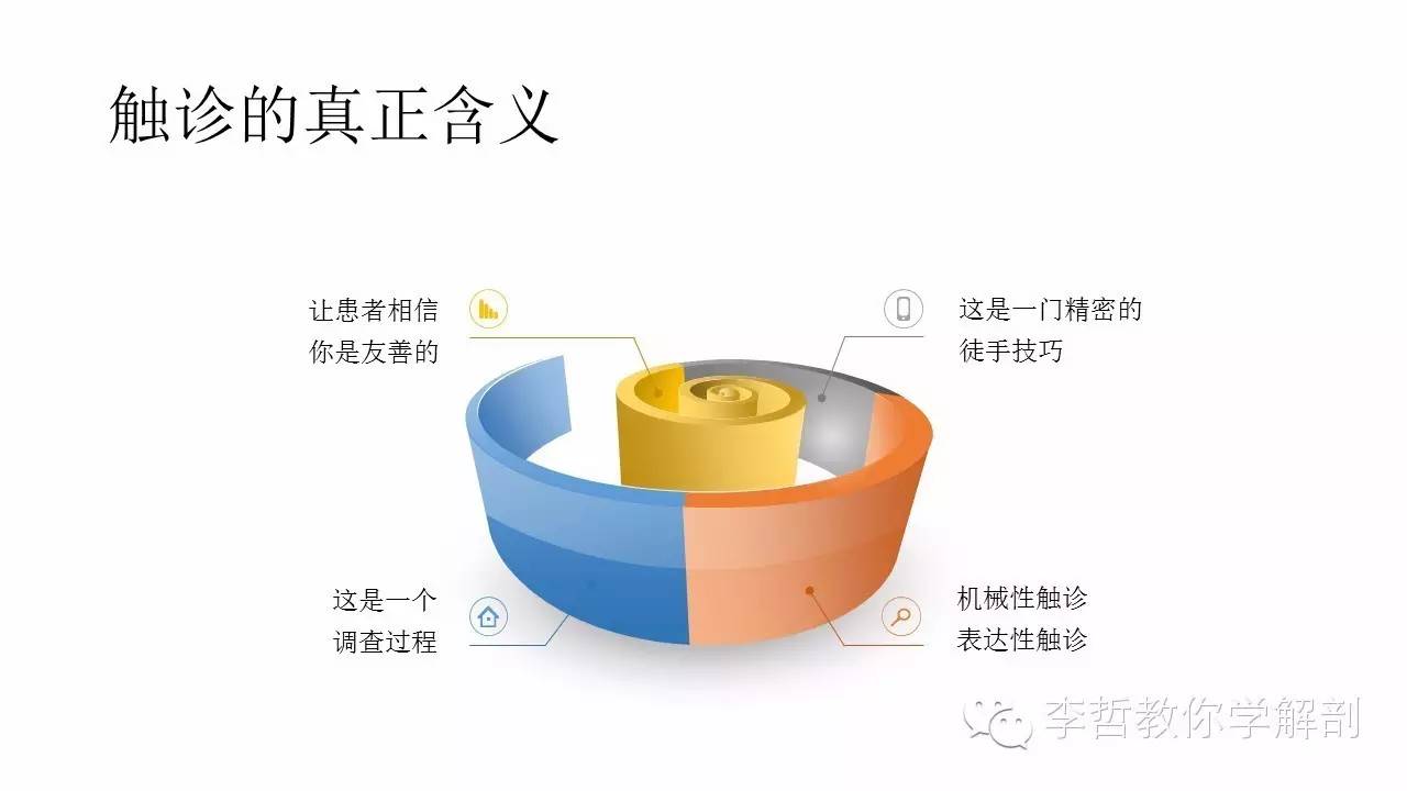 康复治疗学物理治疗,功能解剖学主要介绍什么