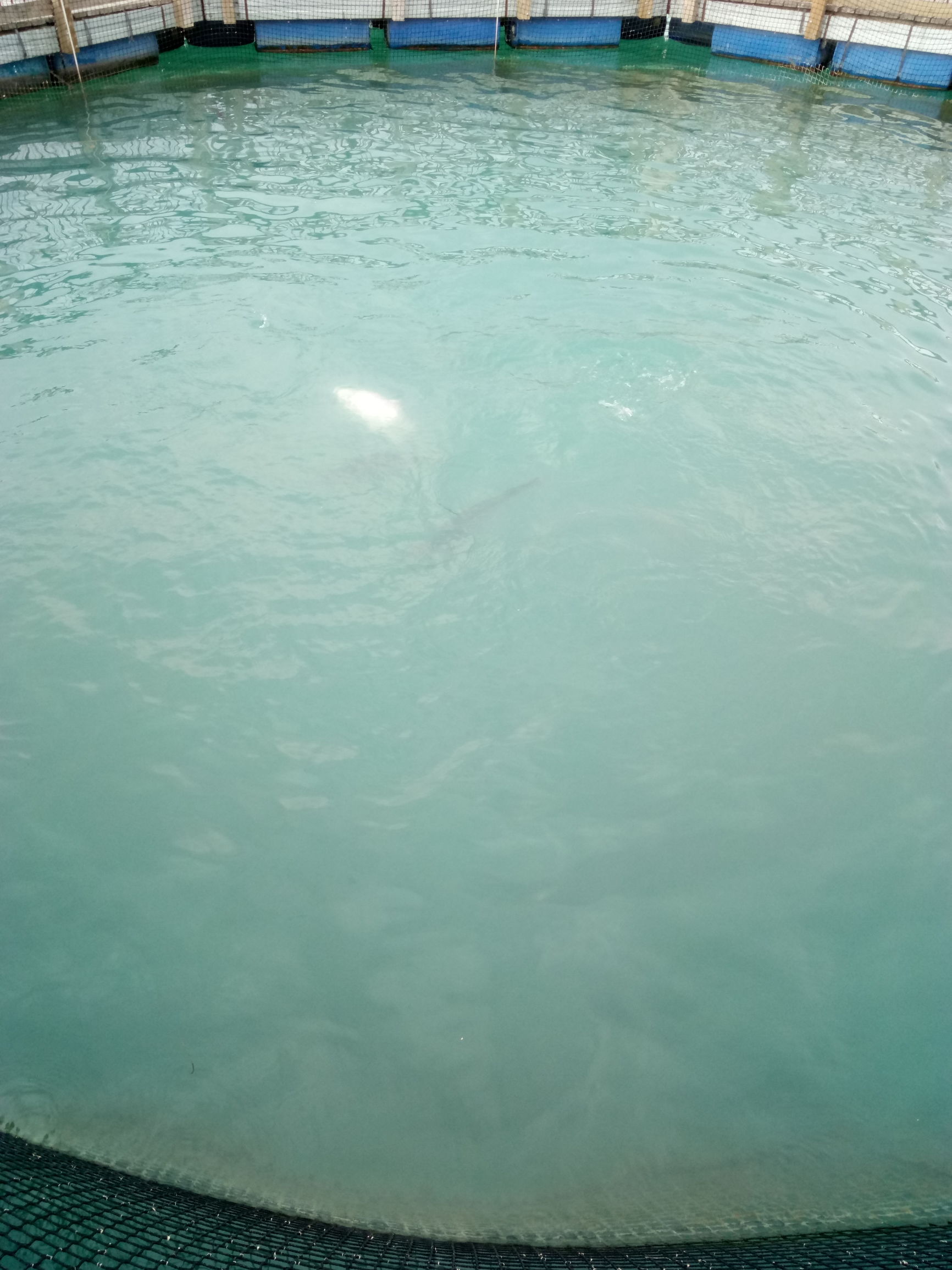 新西兰旅游自由行最佳路线攻略,新西兰纯净之路