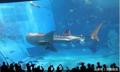 日本冲绳亲子游自由行攻略,冲绳亲子游视频