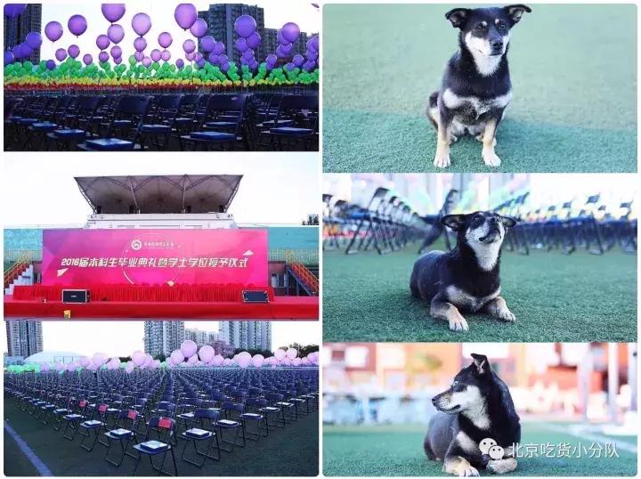 首经贸区最大食堂,北京首经贸第一大食堂