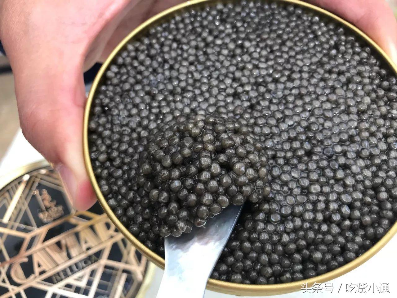 驱车4小时，终于品尝到传说中的“鱼子酱”！带你深挖背后的故事