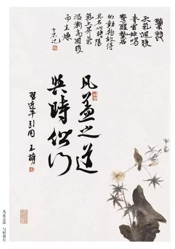 奋楫者先丨2018个石花笺记事