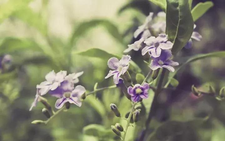 娣辨按鐐稿脊灏忚瀹岀粨,娣辨按鐖嗙牬灏忚