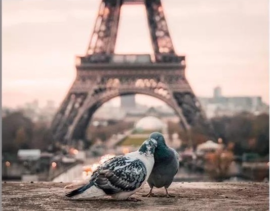 女人说一句对不起就行了,每一个女人都该被温柔以待