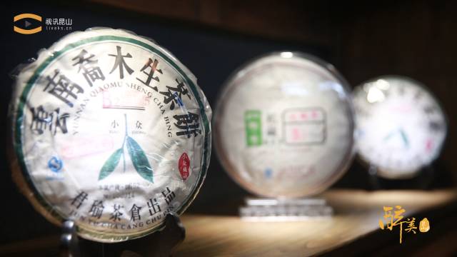 烹调味尽东南美，最是工夫茶与汤江南春，一个茶与文化的融合地