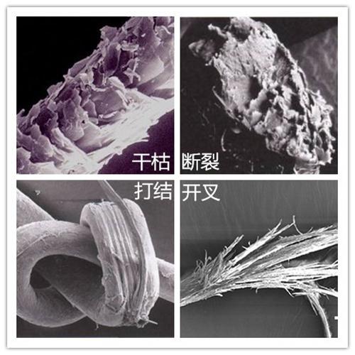 四年养发经验,养发四年