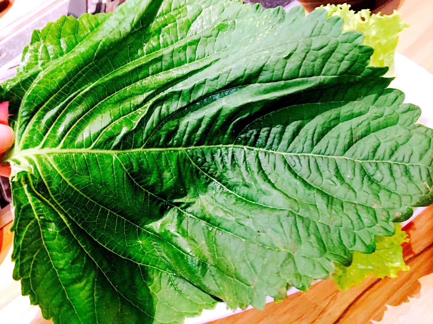 汉拿山烤肉新世纪,汉拿山烤肉最新价格