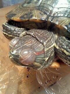 小病怎么治疗才有效,小病治疗常识大全