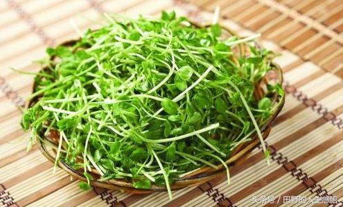 舌尖上的中国安徽毛豆腐,舌尖上的中国合肥豆腐