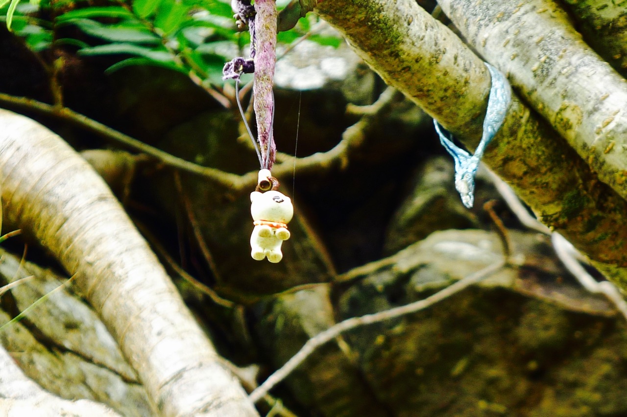 苏格兰高地天空岛,苏格兰高地和天空岛