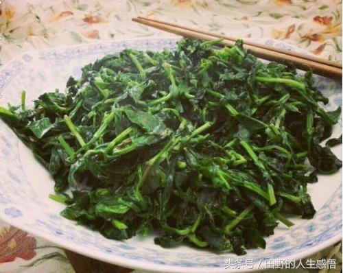 舌尖上的中国安徽毛豆腐,舌尖上的中国合肥豆腐