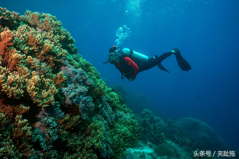 去马来西亚旅行需要准备什么,手把手教你去马来西亚