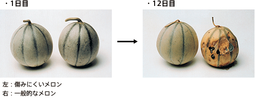 一白遮百丑美白那点事你真的懂吗,一白遮百丑美白视频