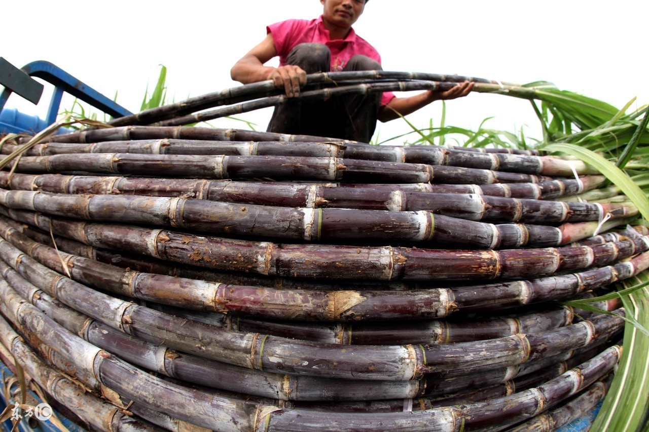 咳嗽喉咙痛吃什么水果,喉咙痛水果配什么榨汁