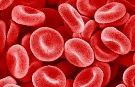 新生儿黄疸，新手父母一定要提前知道的要点