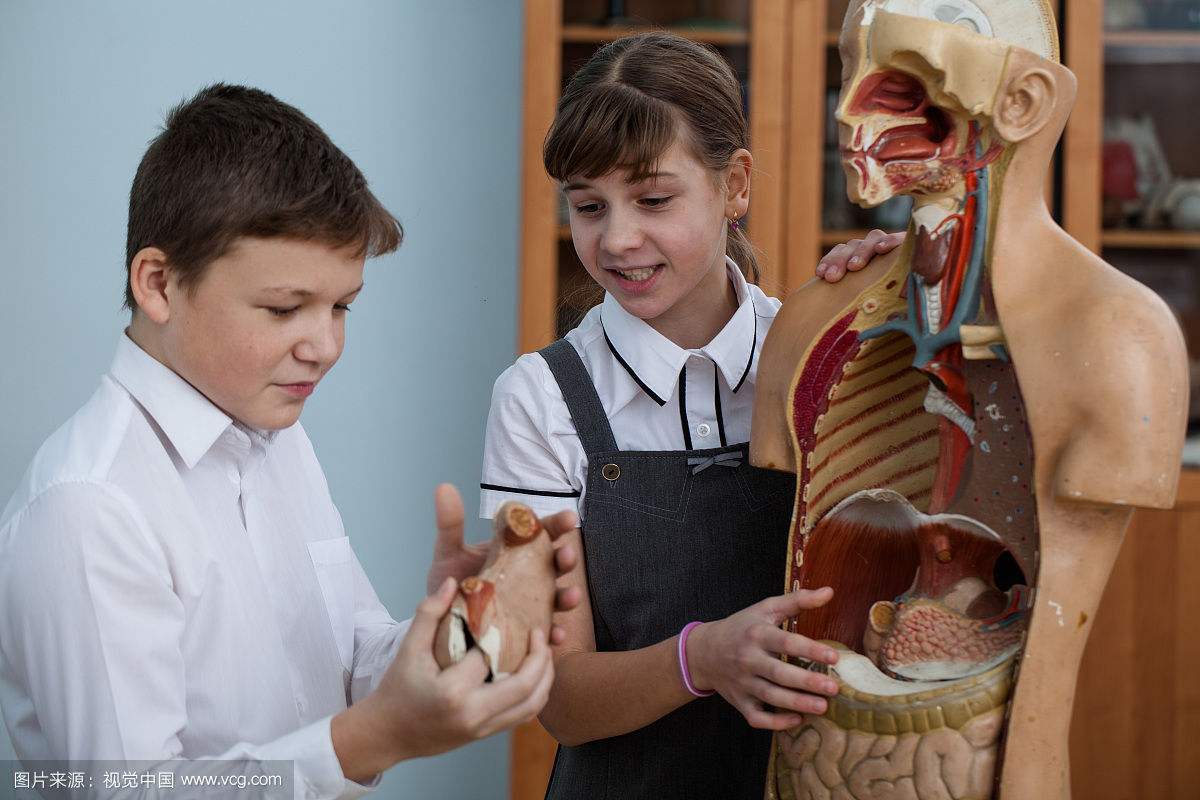 大学生解剖青蛙,大学生练习解剖青蛙