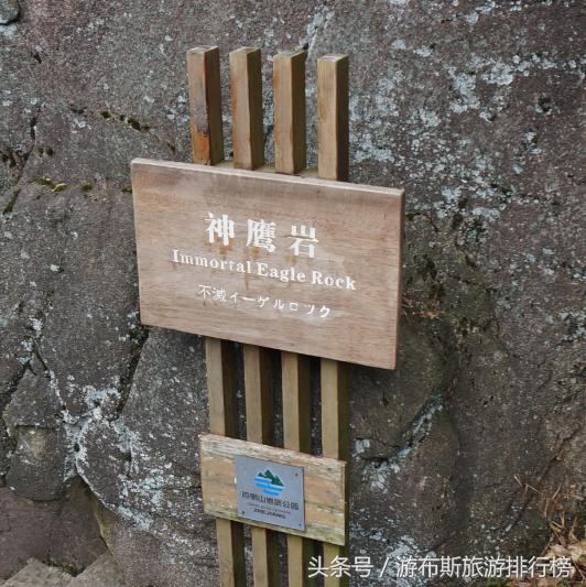 景点美景打卡宁波,宁波十大免费旅游景点四明山