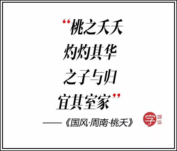 双宋cp为什么会宣布婚讯,双宋cp闪婚