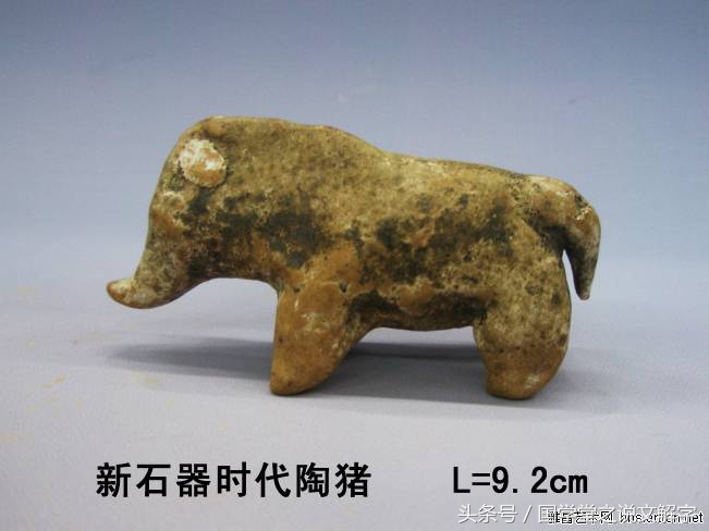 猪字的演变,猪字从甲骨文到现在的演变