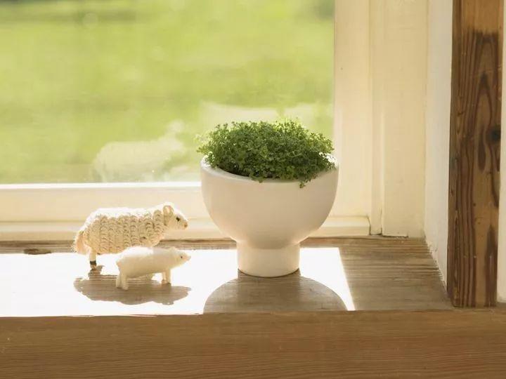 深水爆破的小说,小说谍战深海第三部