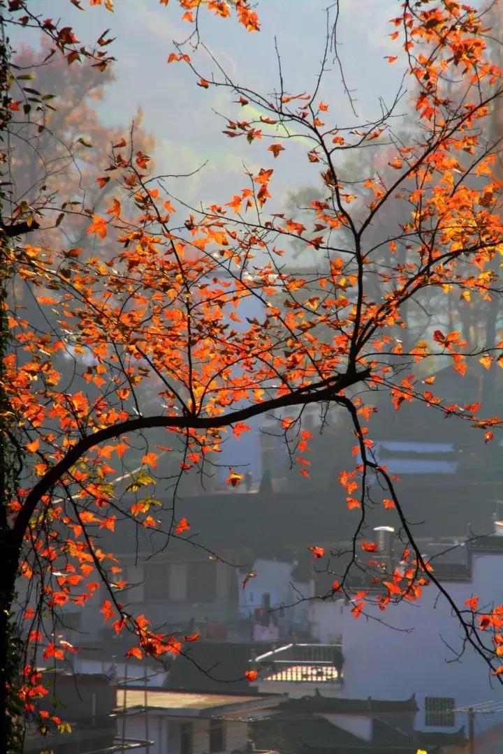 11月国内最值得去的景点,推荐七月国内最佳旅行目的地