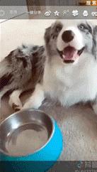 范冰冰李晨花式秀恩爱,范冰冰李晨秀恩爱片段