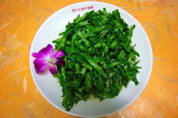 带上兜兜去旅游,带着小嘟嘟去旅游