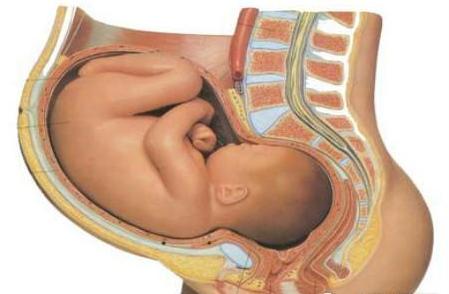 要想分娩无痛苦，懂得这些知识很重要