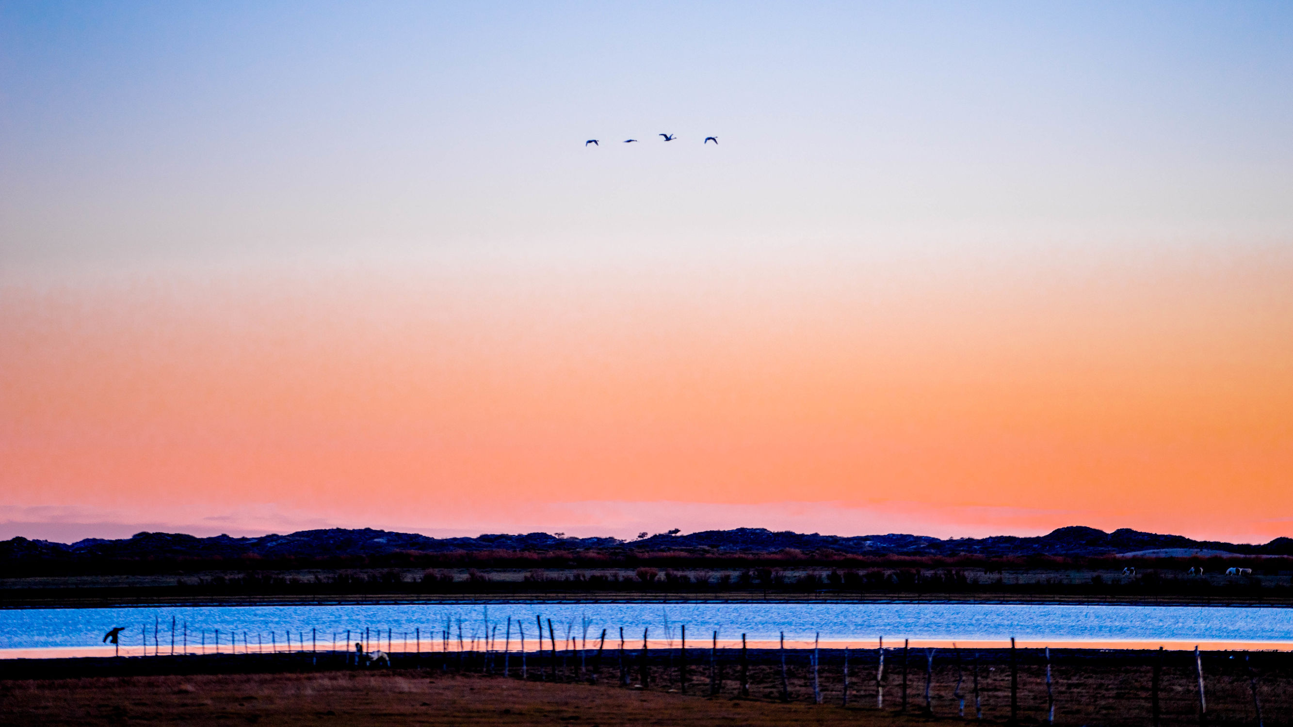 正蓝旗锡林郭勒大草原,正镶白旗天鹅湖