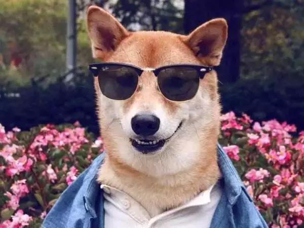 结了婚的女人最爱吐槽老公，但是这些吐槽分分钟让人笑瘫在屏幕