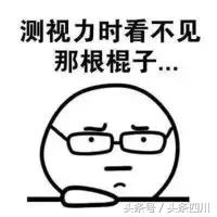 民航飞行员报考条件费用,民航飞行员报考条件490分