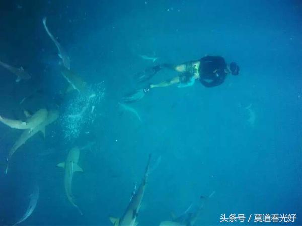 亚洲对中国免签证国家有哪些,中国护照去亚洲哪几个国家免签证