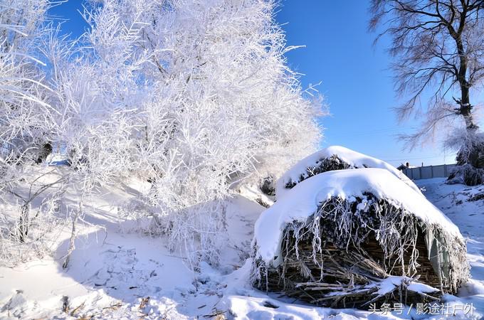 哈尔滨雾凇岛一日游,哈尔滨雪乡雾凇岛攻略