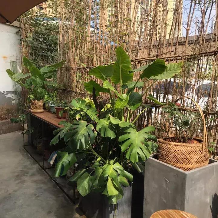 轻食篇丨这是一个关于梦想、自由和慢节奏的地方