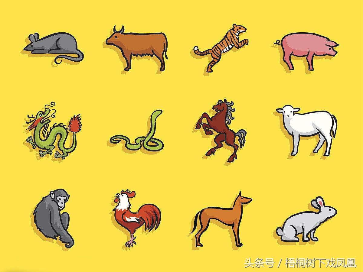 八字合婚歌诀大全图解视频,古代的合婚是怎么回事