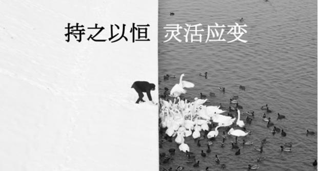 爆品背后的商机,爆品是骗局吗