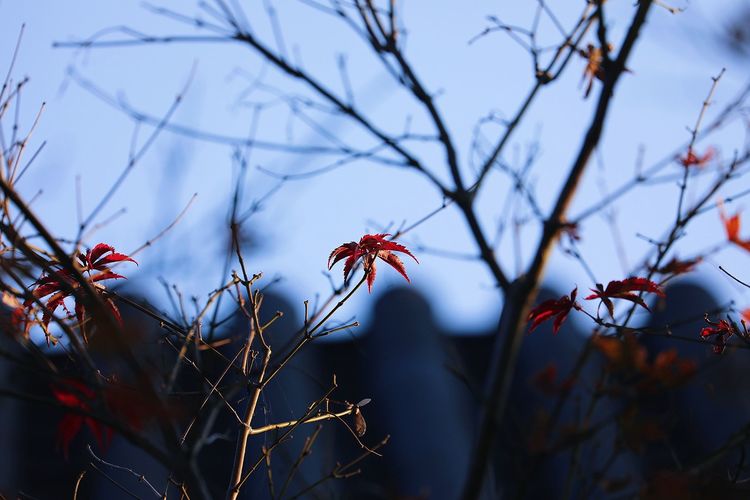 去东湖逛一圈,夏天去东湖哪个景区好玩