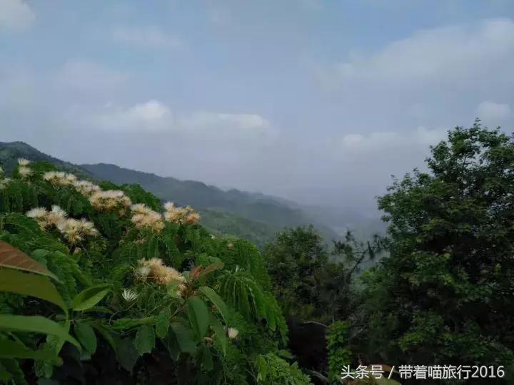 四明山该去哪,四明山观景台晚上能看风景吗