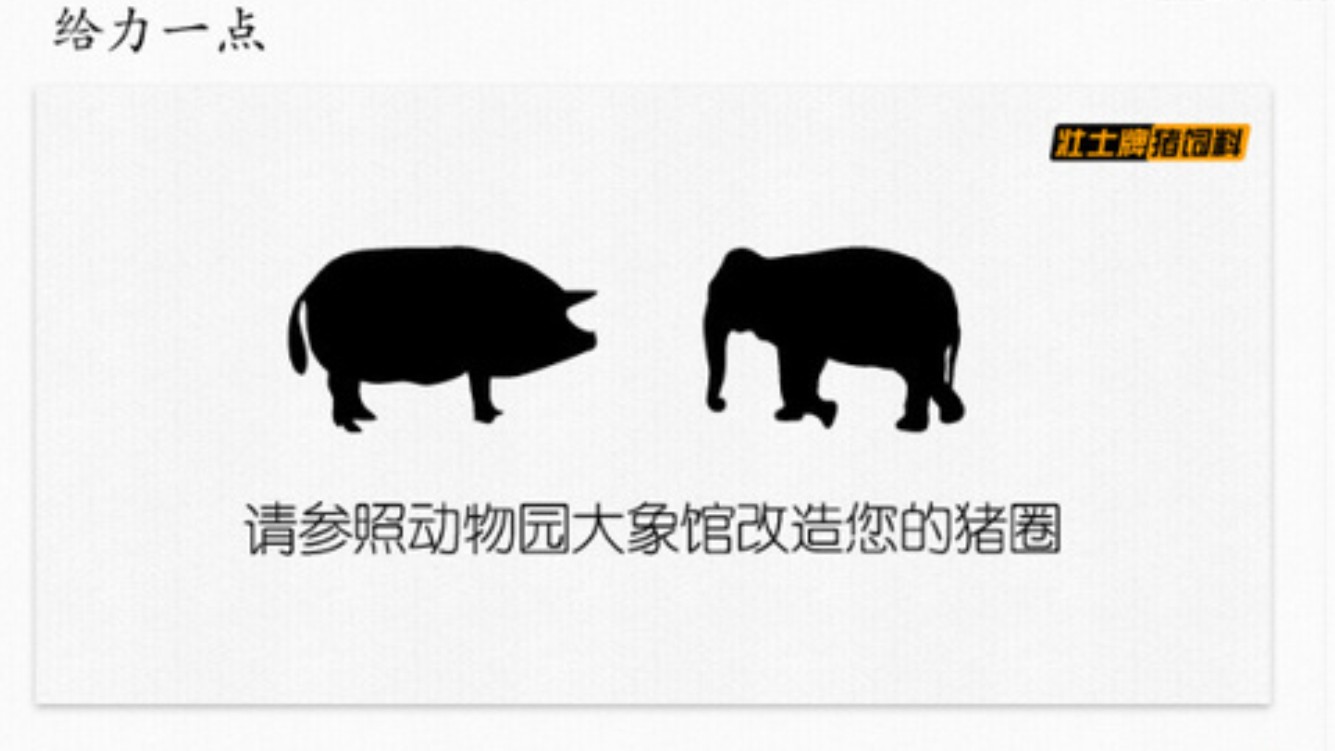 猪饲料文案怎么写好,饲料创意文案怎么写