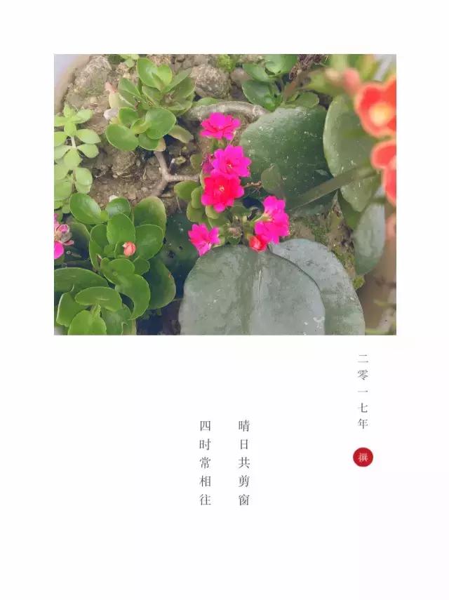 浜旀湀鍏棩濡傜害鑰岃嚦,浜旀湀鍏湀璇楁剰