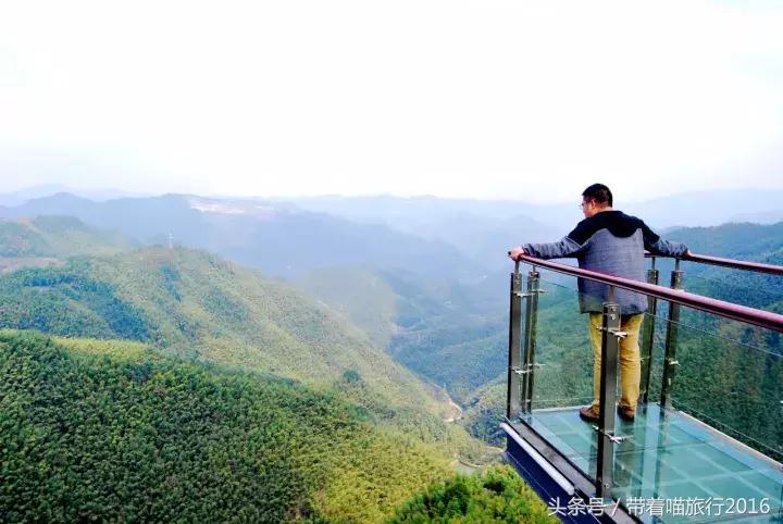 四明山该去哪,四明山观景台晚上能看风景吗