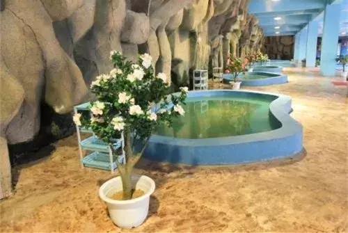 巴彦淖尔攻略,巴彦淖尔市内游玩攻略免费